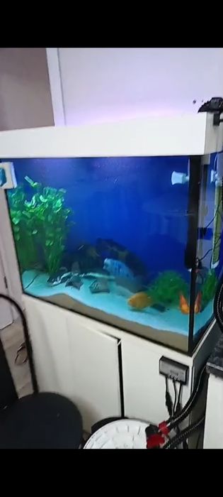 Аква чистка  аквариумов