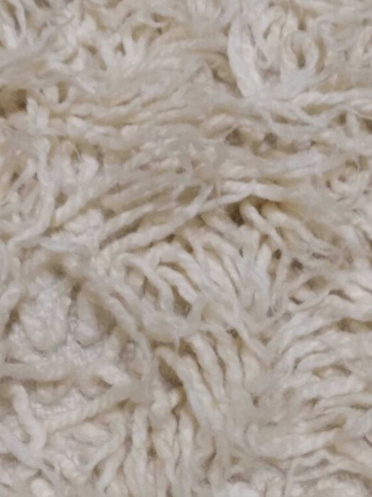 Домашни китеници