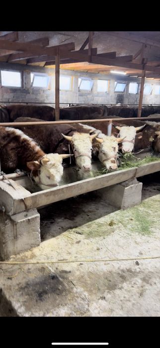 Продам помещение, 2 гектара земли!