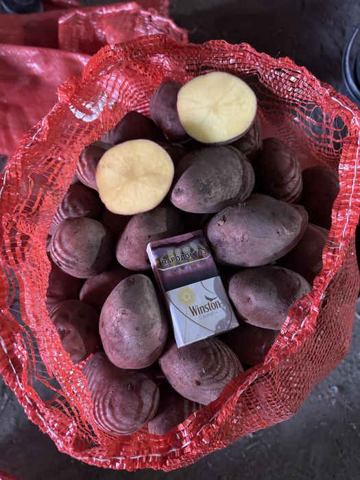 Продам не поливной картофель