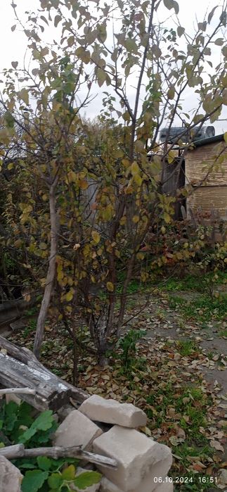 Продам отличную дачу!