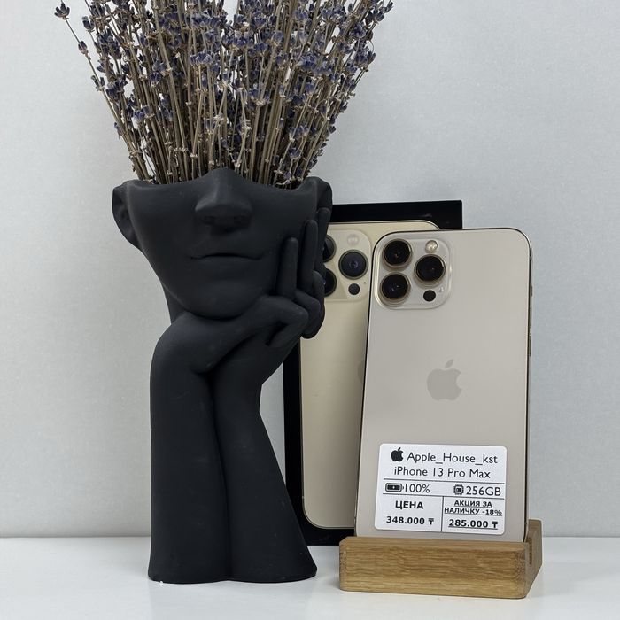 iPhone 13 Pro Max, 256Гб