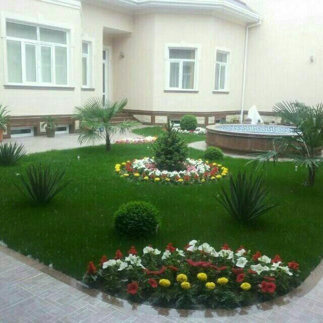 Газон йевро тайор рулони екамиз ва йевро уругларин сепамиз ишончли