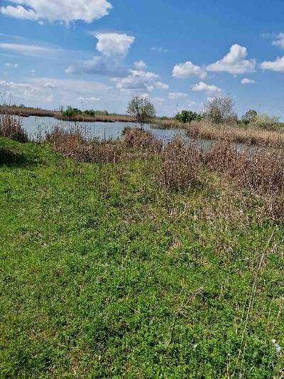 Продава се Парцел в с. Софрониево, Област Враца - 123000 кв.м за 2 €/кв.м - Снимка #3