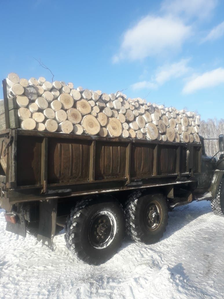 Дрова петропавловск камчатский