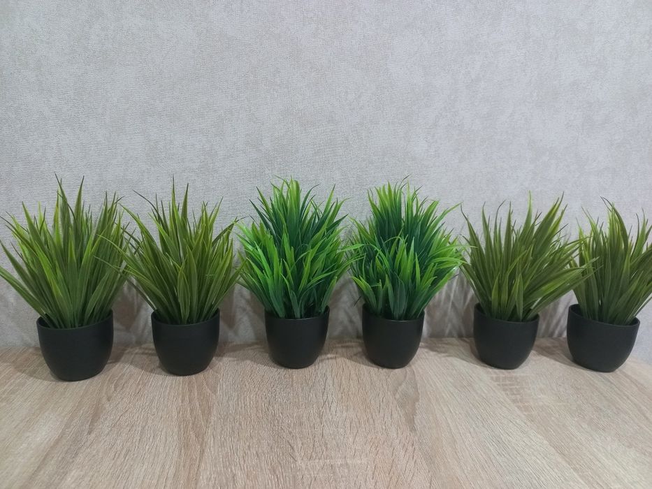 Новые искуственные растения