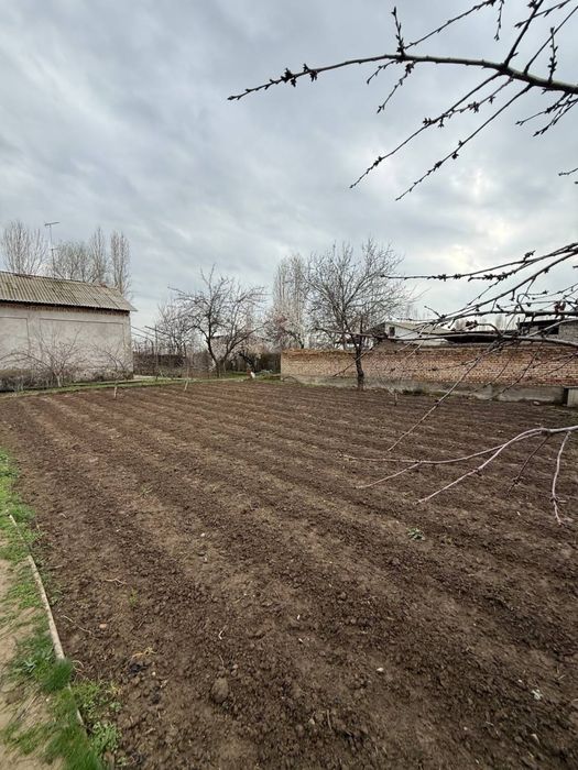 Продам землю Чингелди Парк новый узбекистан чингелли Аранча махаля