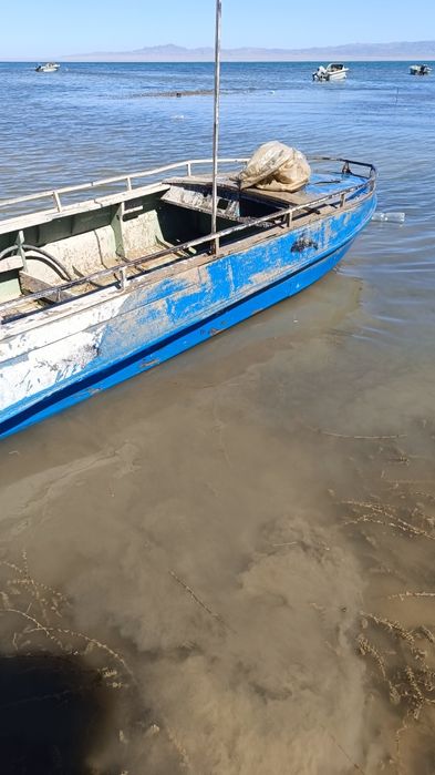 Лодка с мотором  продам