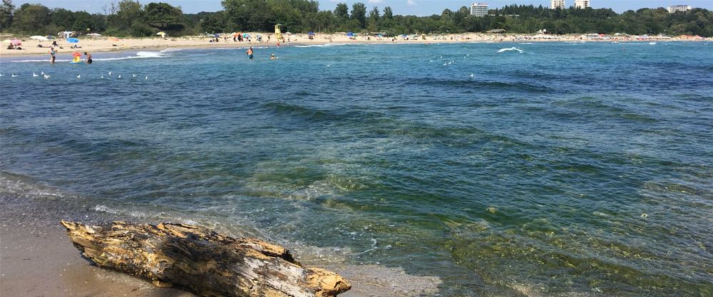 Краванана под наем първа линия, къмпиг Китен , МАЙ 2026