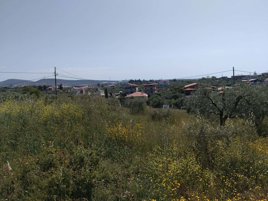 Продава се парцел в район Макри, Александруполис