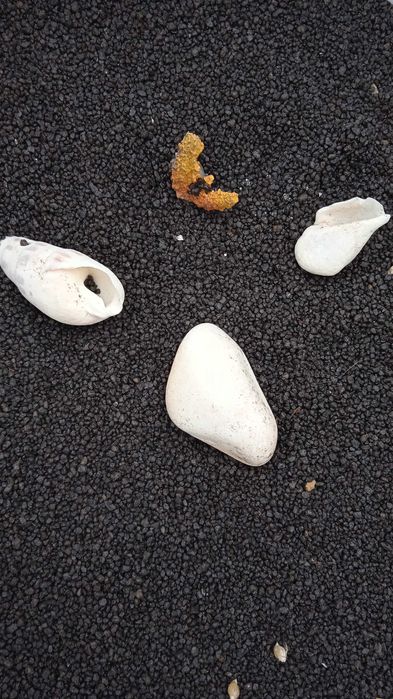 Аквариум aquarien & technik