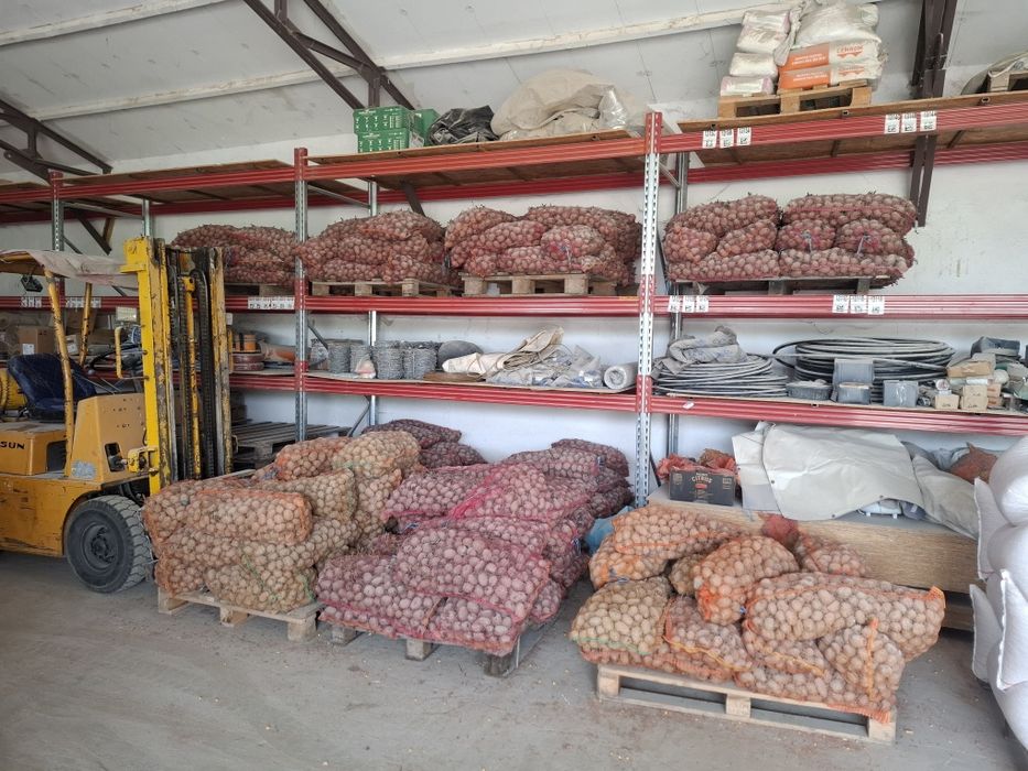 Cartofi porci

Alb miez galben 2,5 lei / kg

Roșu miez galbe