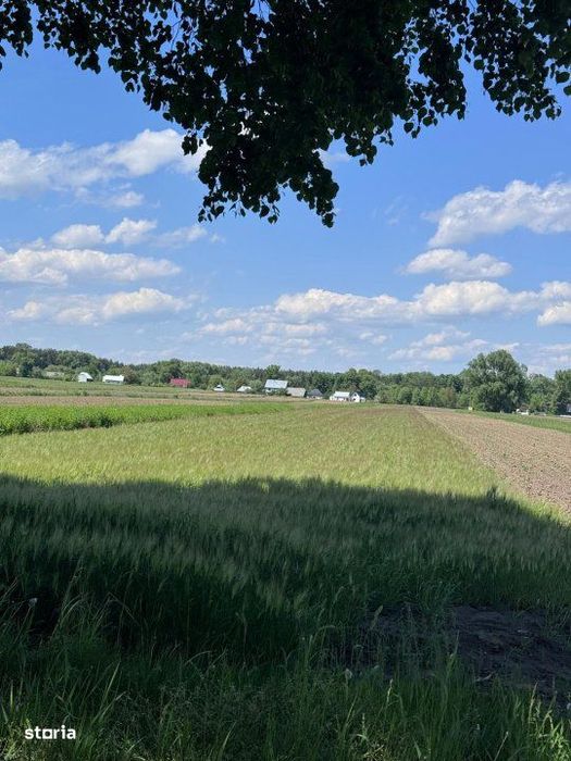 Teren extravilan, 4000mp,  Fratautii vechi