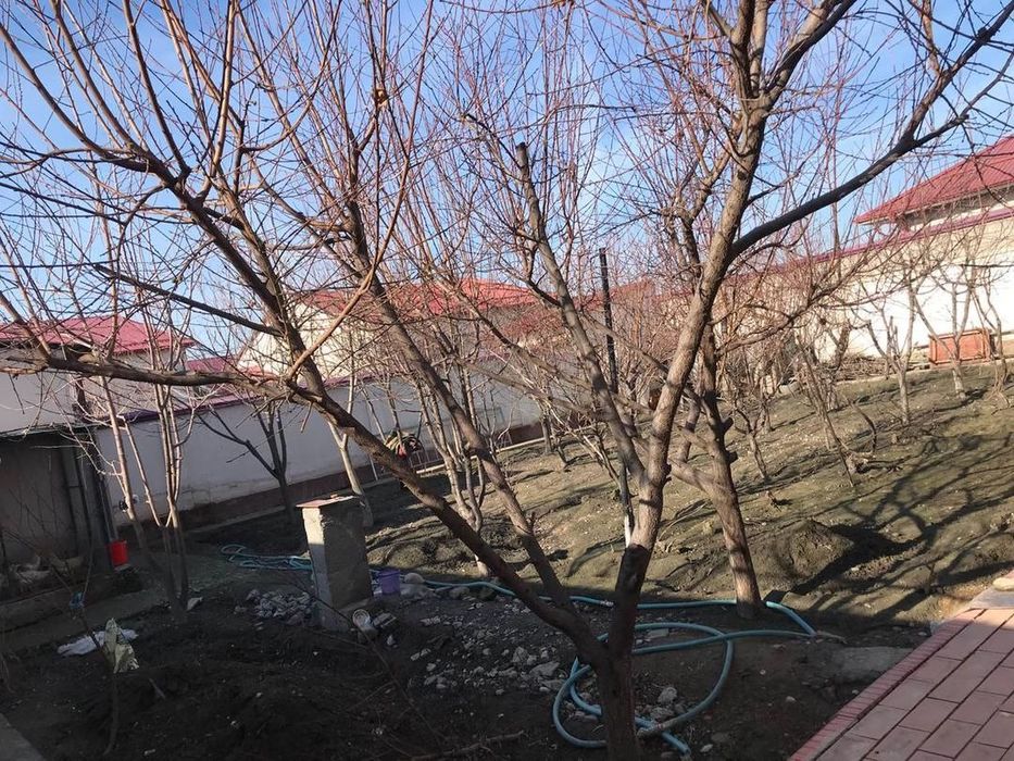 Kottej sotiladi sayohatda