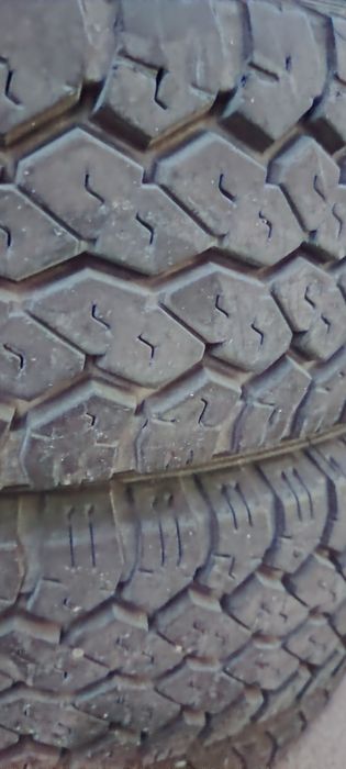 Шыны бу на газель