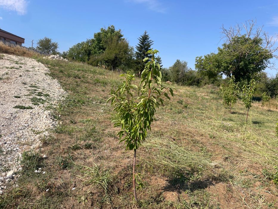 Продава се Парцел в Плевен, Кайлъка - 3323 кв.м за 70 €/кв.м - Снимка #8