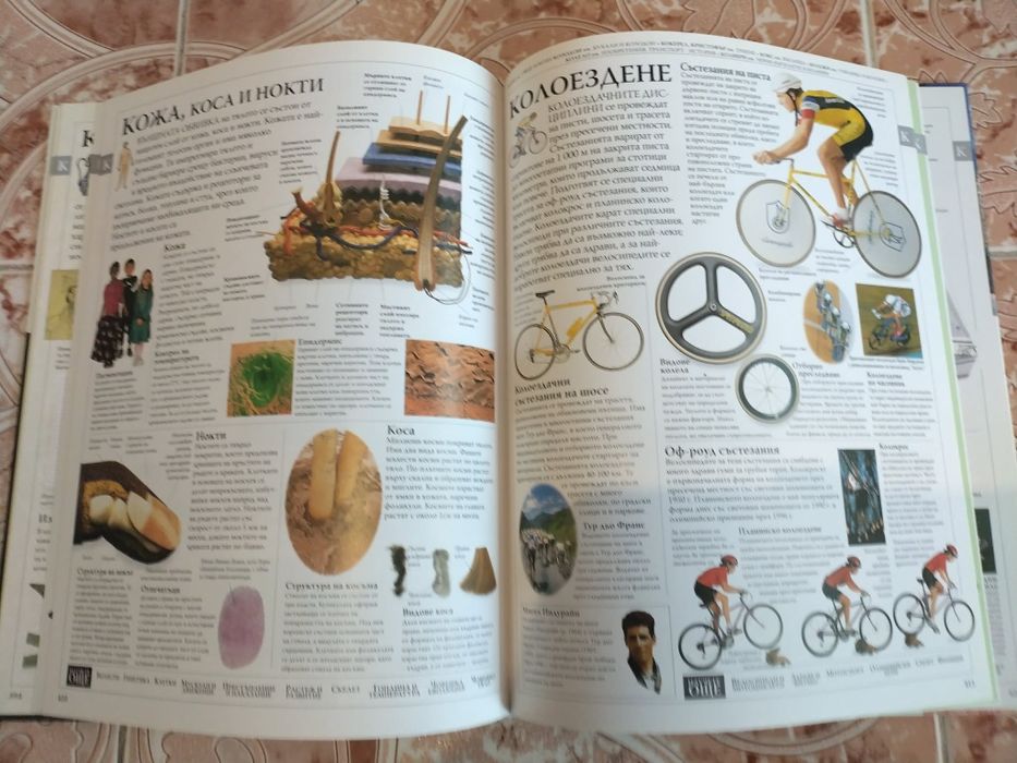 Интересна илюстрована семейна енциклопедия