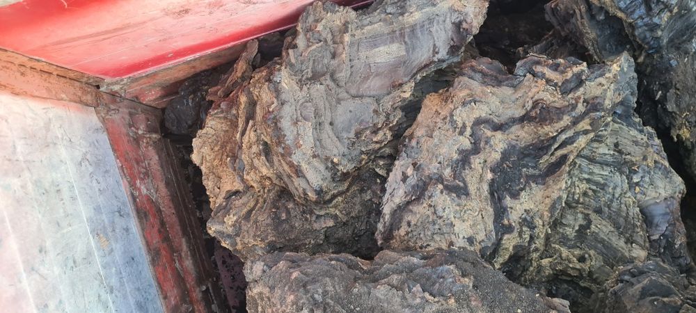 Deseuri fag ,cărbune lignit