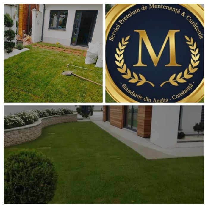 Servicii Premium de Mentenanță & Curățenie