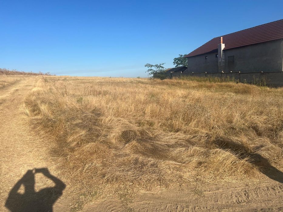 Teren de vanzare Medcidia,Satul Nou