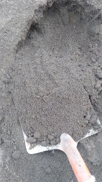 Биогомис  сотилади 1300сум Хоразм