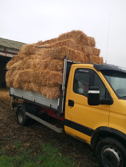 Paie curate uscate așternut animale baloți mici