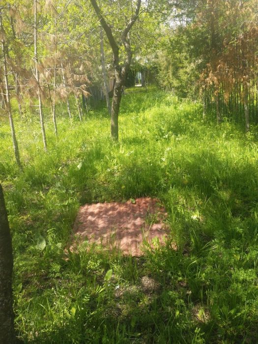 Срочно продам дачу