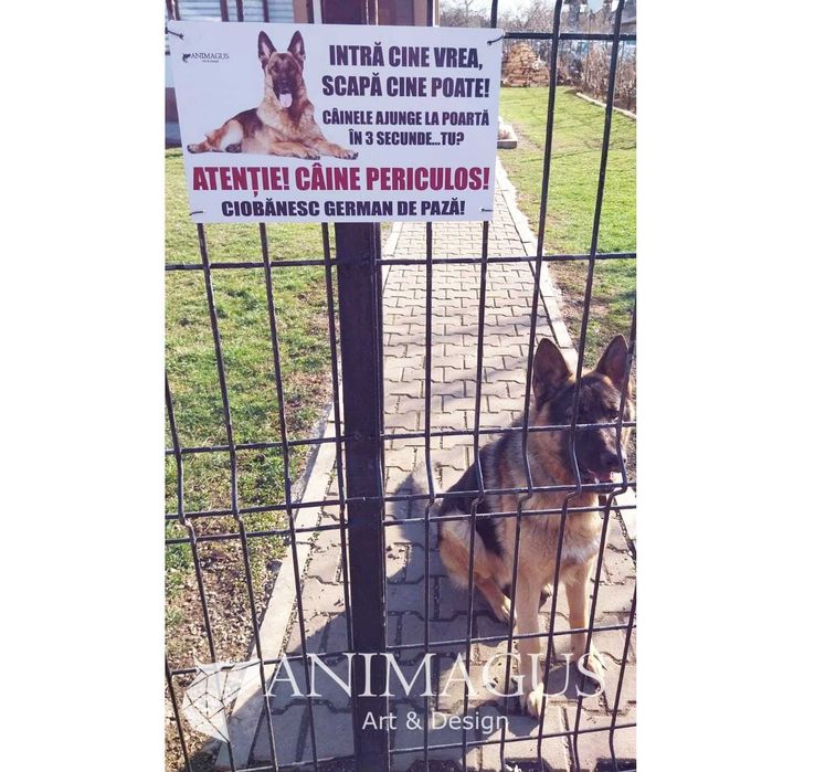 Placa Avertizare Caine Rau Periculos Ciobanesc German