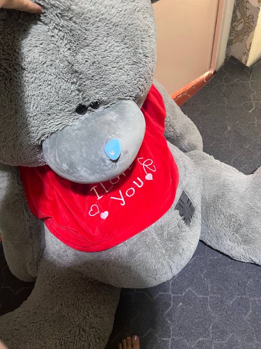 Teddiy yangi tez soʻriladi pul zarur