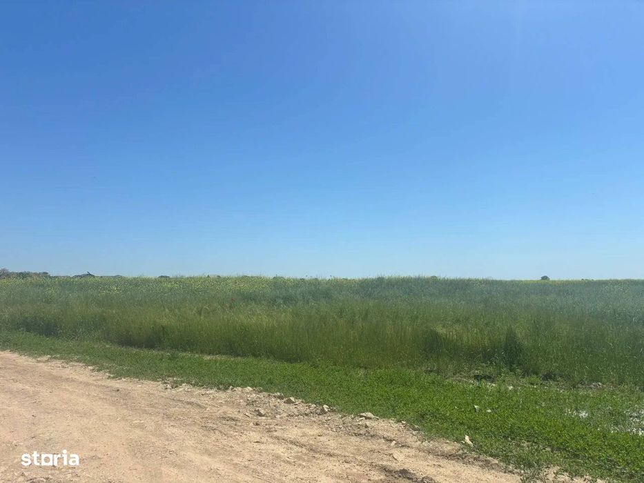 Loturi teren 500 m P+1+M Berceni - Vidra Actele la zi Puz valabil