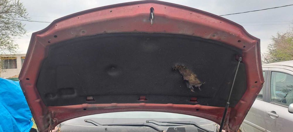 Преден капак и заден капак за Опел Инсигниа Insignia 2009г.