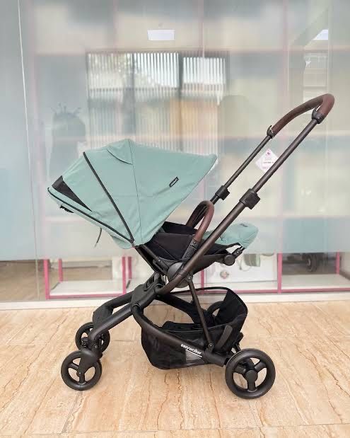 Easywalker charley 2 в 1