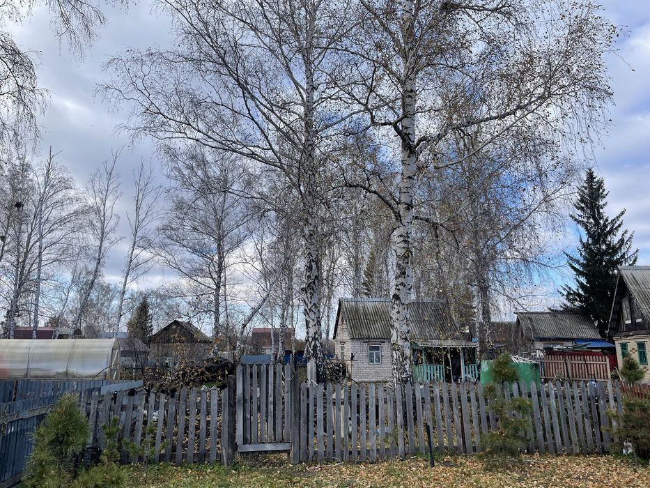 Дачный участок 6 соток Горизонт