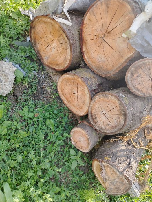 Lemn de cireș uscat