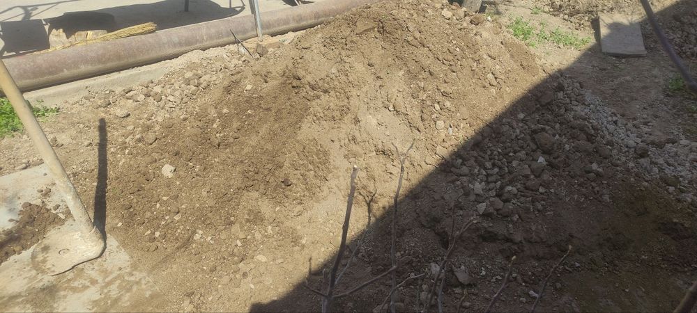 Чириган Қуй гунги!