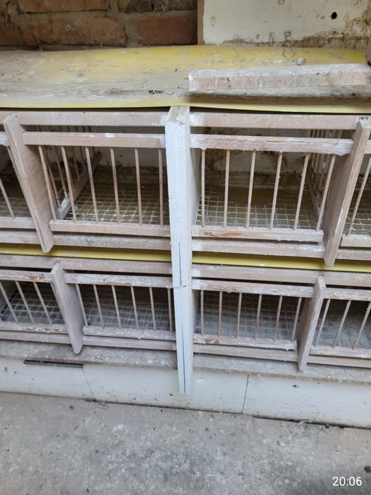 Boxe pentru porumbei cu bandă
