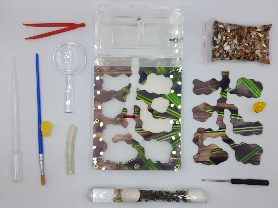 муравьиная ферма!!