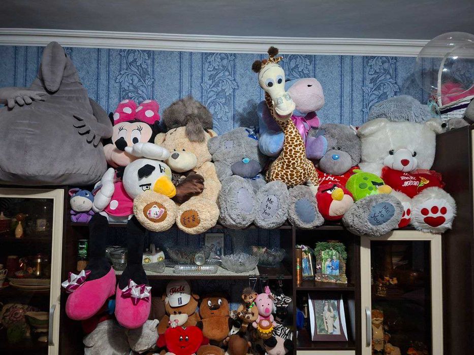 Мягкие игрушки высокого качества-Тедди,Винни,Энгри бёрдс,Смешарики итд