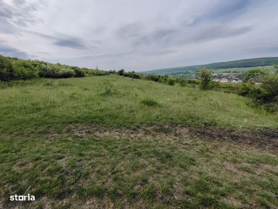 8.700 mp pentru dezvoltare rezidentiala la 3 km de CREIC - Chinteni