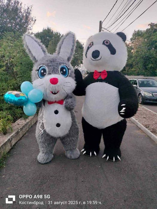 Мечка за изненади цена за  София 80 лв