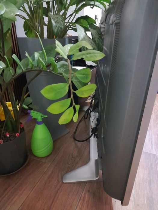 Плазменный телевизор Panasonic Viera