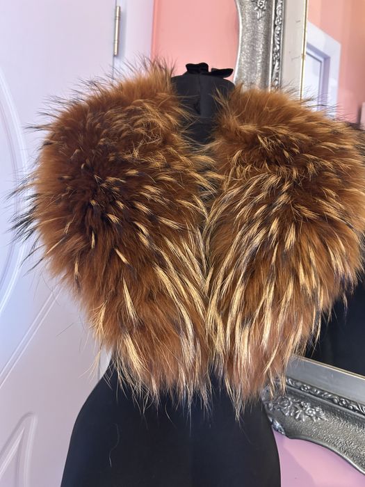 Яка лисица богата