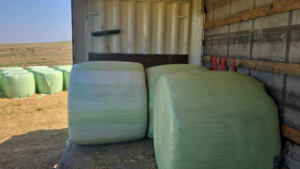 Baloți de lucernă înfoliați