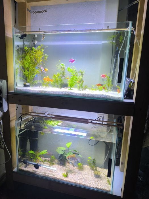 Două acvarii complete 85 litri