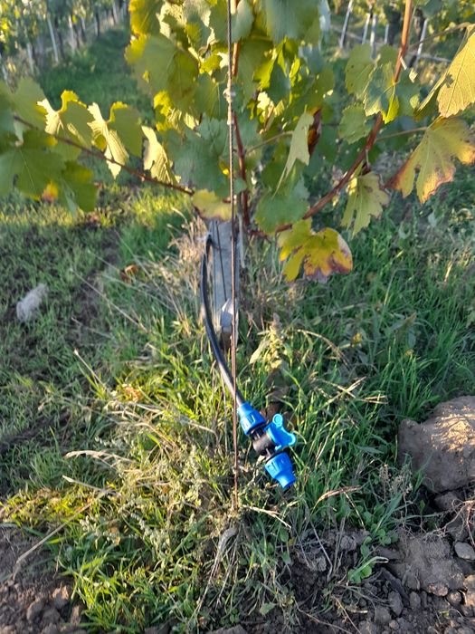 Irigati  vita  de vie   picurare, automatizare , pompe