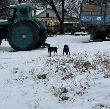 Яг сатыладыыыыыы