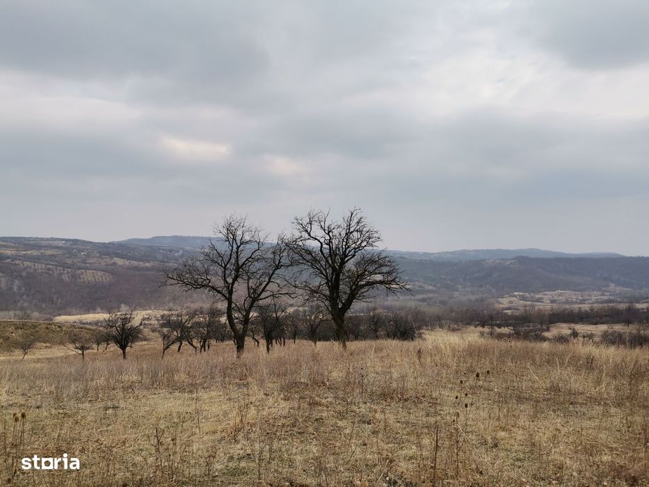 Vând Teren Extravilan 9700 mp Dănulesti, Jud. Buzău