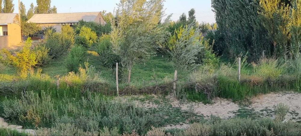 12 сот. Тошкент вил. Янгийул туман Бозсу К.Ф.Й. Янгиобод махалла 26-уй