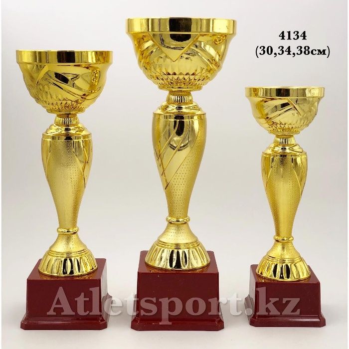 Наградные кубок (кубки) набор (306)