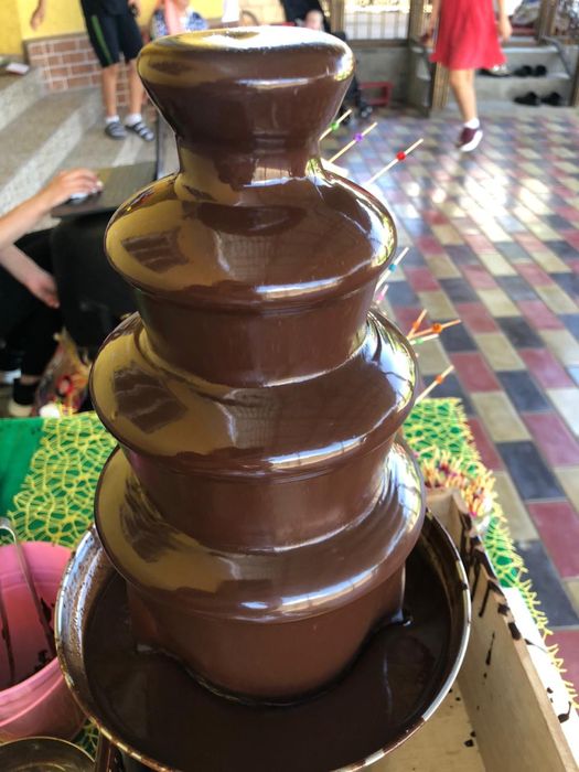 Шоколадный фонтан 30.000